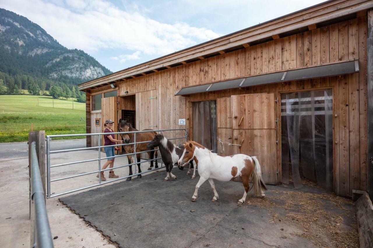 Narzenhof Wellness Chalets, Familien & Luxus Apartments Am Bauernhof St. Johann in Tirol Extérieur photo