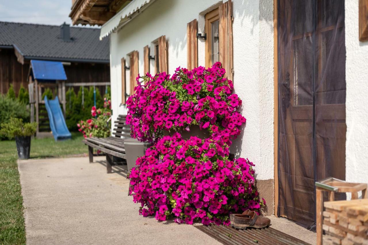 Narzenhof Wellness Chalets, Familien & Luxus Apartments Am Bauernhof St. Johann in Tirol Extérieur photo